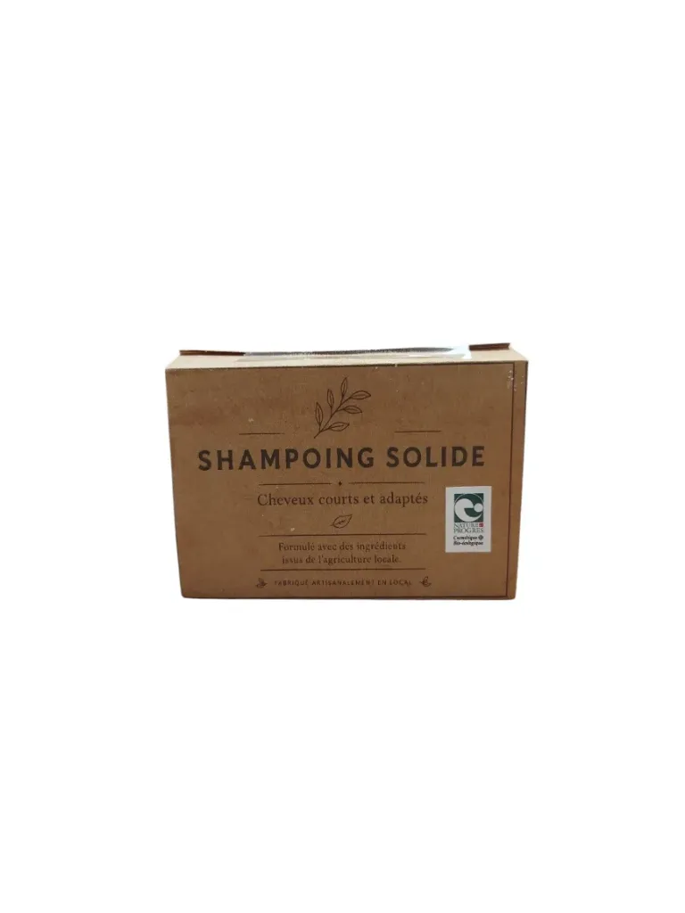 Shampoing solide